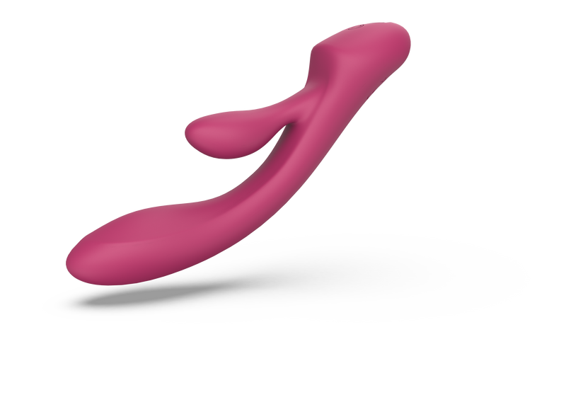 The Rudolph Dual Vibrator