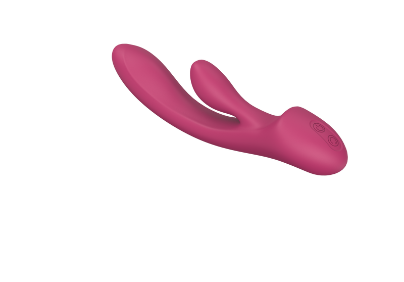 The Rudolph Dual Vibrator