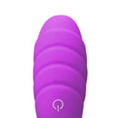 Purple Rechargeable Remote Control Vibrating Egg with 10 Speeds
