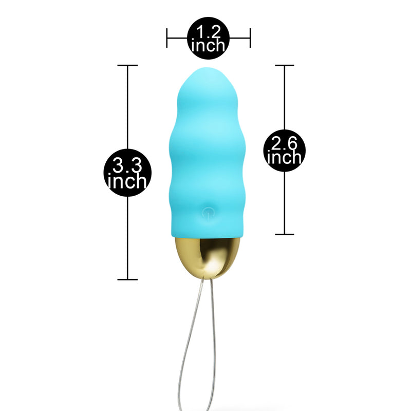 10 Speed Rechargeable Remote Control Vibrator