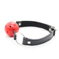 Sexy Red Ball Gag