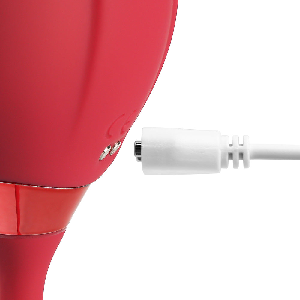 10-Speed Red Color Silicone Rose Sucking Vibrator with Vibrating Egg