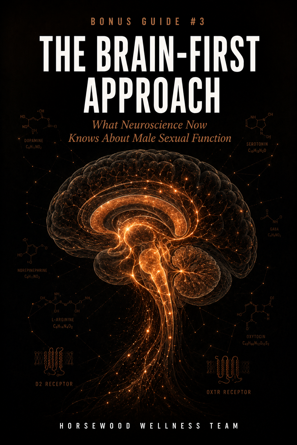 Horsewood BONUS #3 The Brain-First Approach